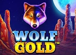Wolf G Slotbox Casino Game