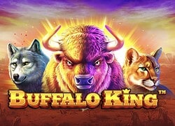 Buffalo King Slotbox Casino Slot