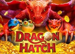 Dragon Hatch Slotbox Casino Game