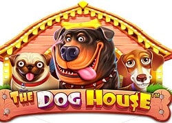 Dog House Slotbox Casino Game